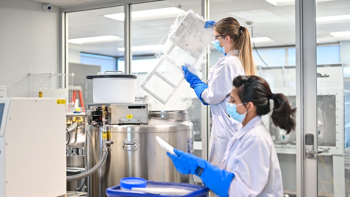 Laboratory professionals working with cryopreservation equipment
